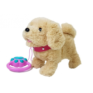 سگ کنترلی سخنگو و موزیکال قهوه ای Pet Play Set Toys