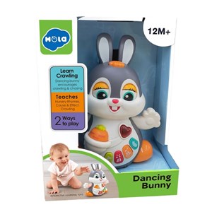 اسباب بازی خرگوش موزیکال هولی تویز مدل HE9991 HOLA TOYS